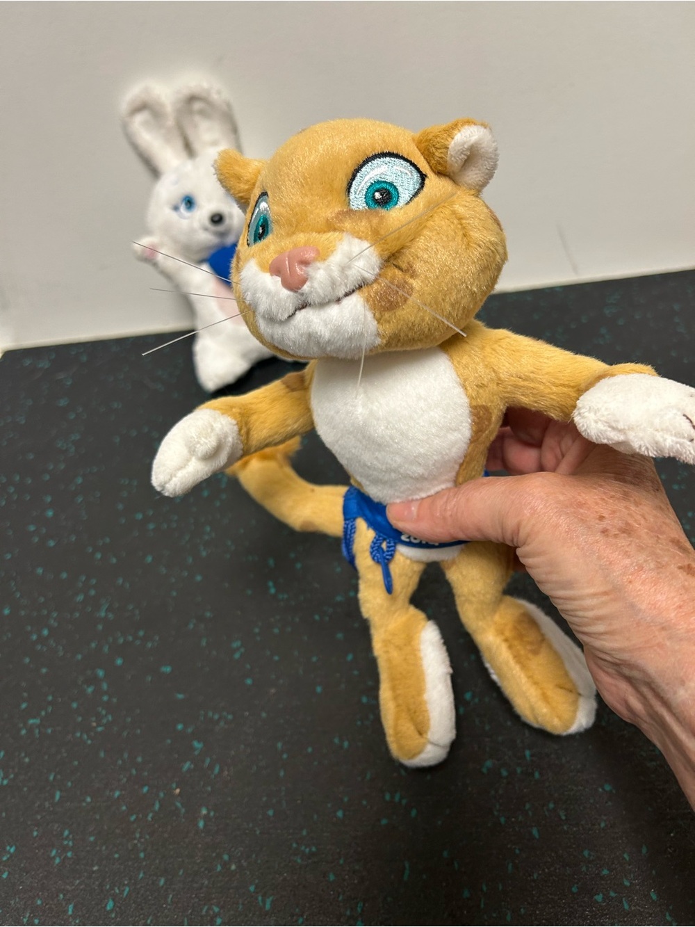 Sochi 2014 Winter Olympic Mascots-The Leopard and the Hare - Picture 3 of 12
